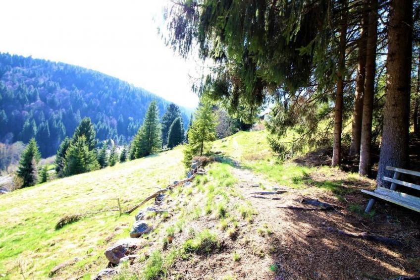 Kuschelnest Oase - foto 24