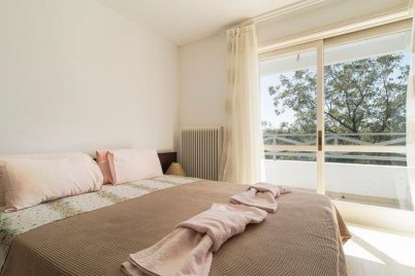 neben Orangenbaum-Obstgarten - foto 2