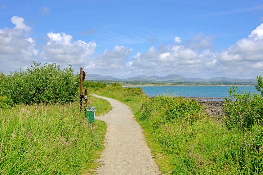 Forest Lodge - foto 4