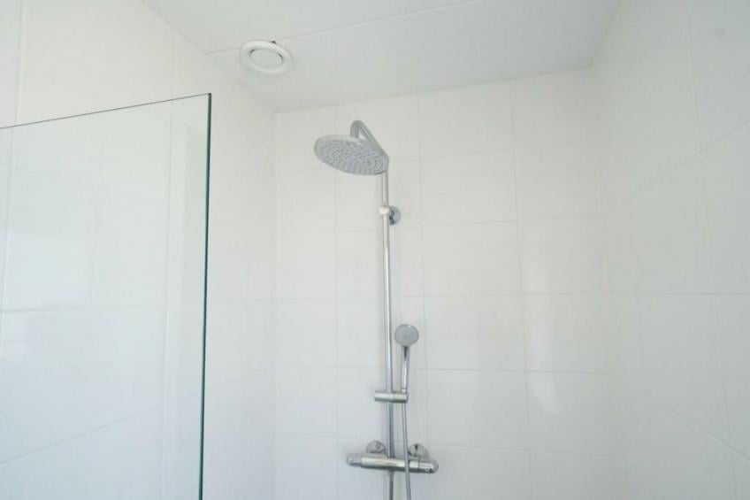 782019 - foto 11