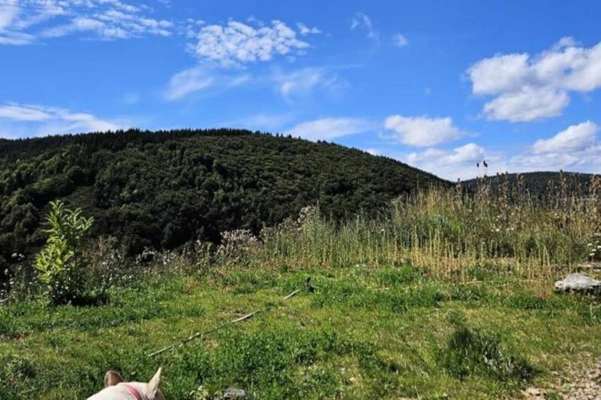 Gîte La cabane d'antoine - foto 22