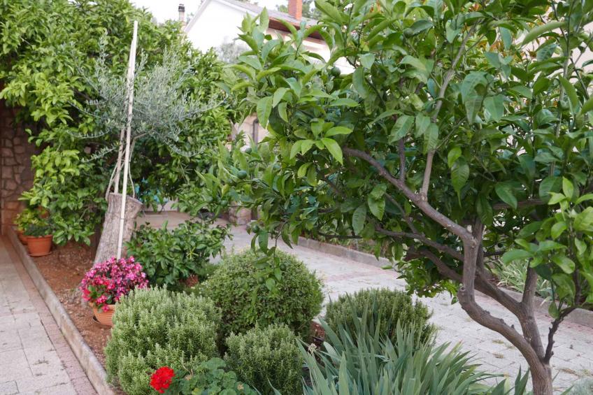 Holiday apartment with balcony - BF-5W54 - foto 7