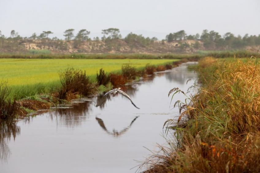 Exklusive Design-Villa in den Dünen, Pool auf dem Dach - foto 32