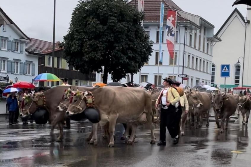 im Dorf Urnäsch - foto 36