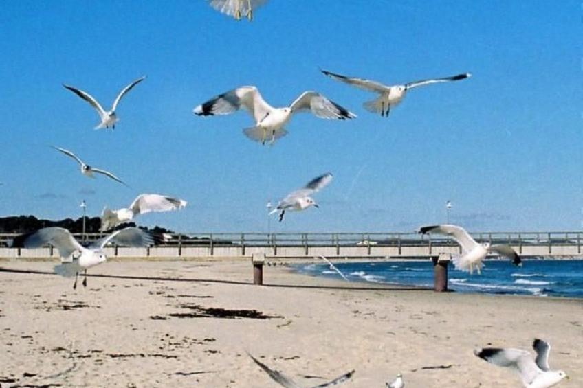 mit Sauna und Schwimmbadnutzung - foto 20