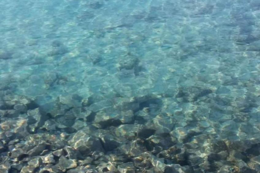 Pansion Villa Antonio - Standard Double Room 2 - foto 25