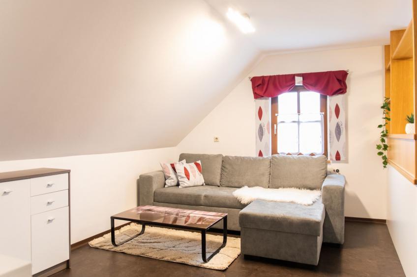 Große Ferienwohnung in Stubenberg am See mit GenussCard - foto 12