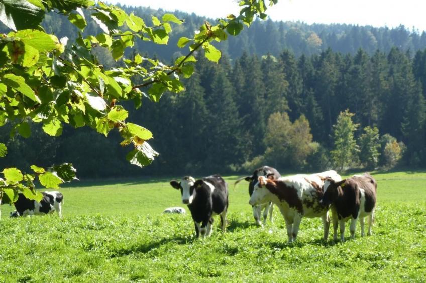 Chalet Désir, Lajoux - foto 22