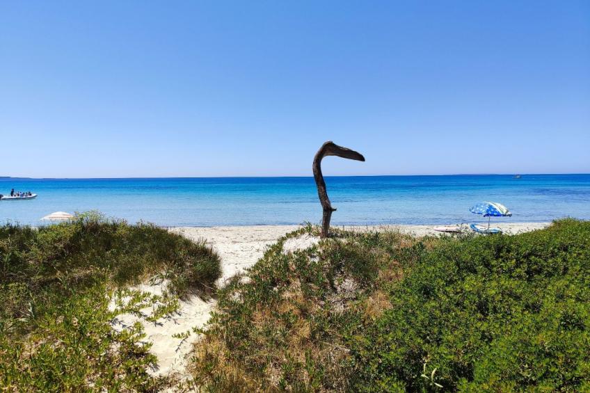 'Von Tziu Efisiu' - foto 40