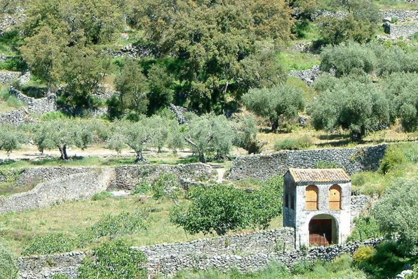 Das Cortijo auf der Finca al-manzil - foto 36