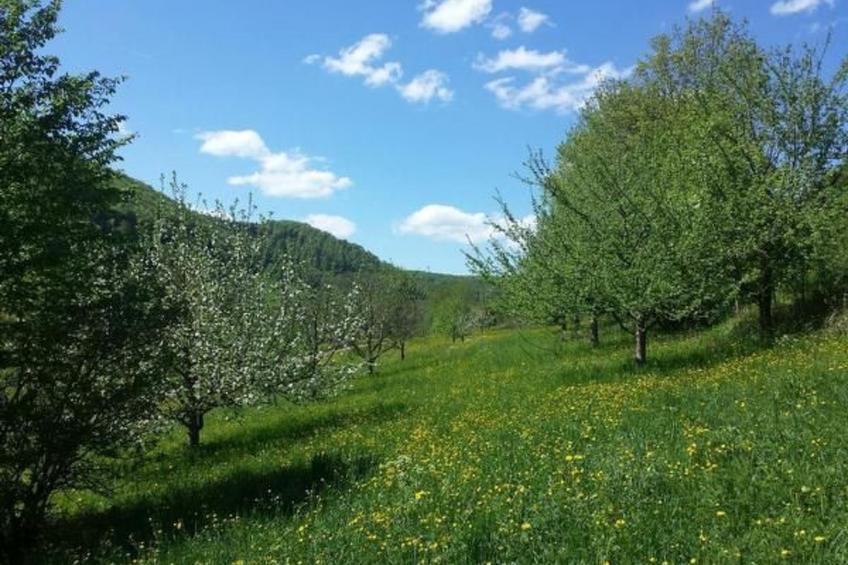 Ferienwohng. Susanne - foto 16