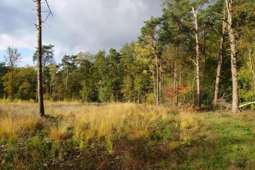 De Weelderik 1 - foto 37