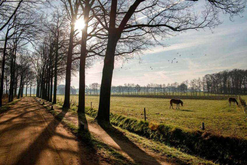 Huus in 't Hagt - foto 29