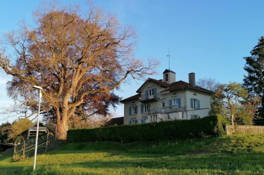 Studio Ferienwohnung - 38 m2- mit Gartennutzung