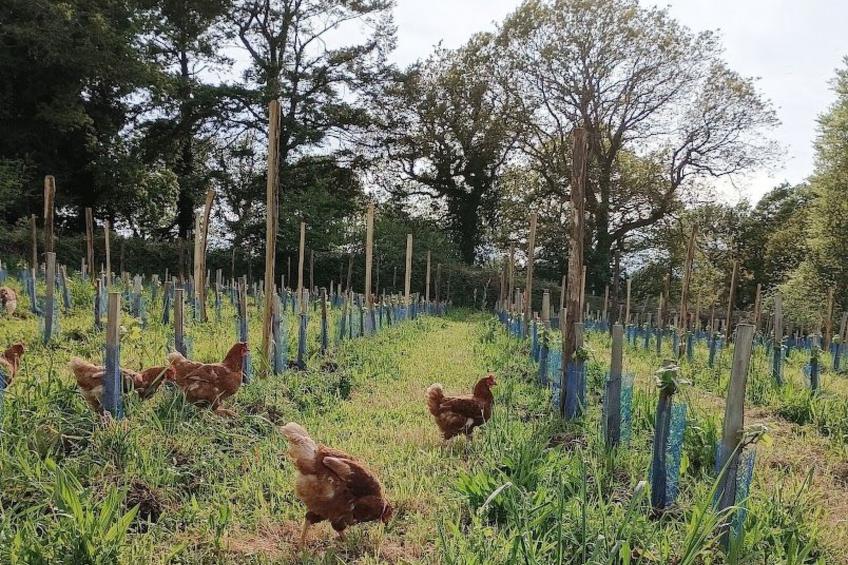 Charmantes großes Cottage zwischen Land und Meer - foto 18