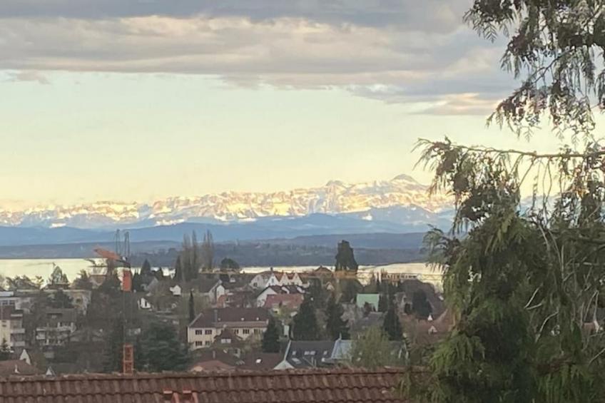 602182 - foto 4