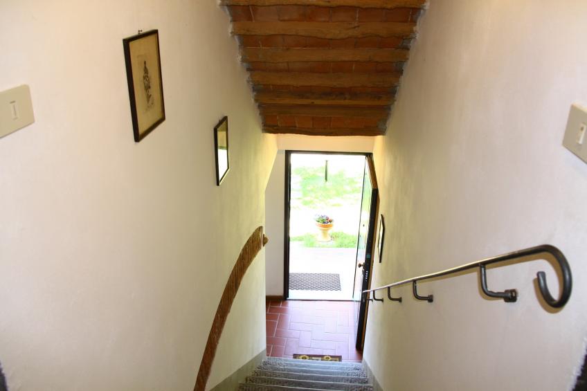 Da Vinci Cinque - foto 13