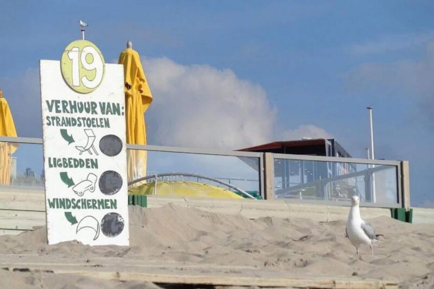 The Beach & Town Suite - foto 27