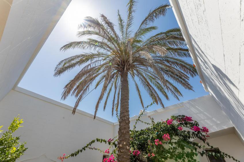 Tenuta Del Leccino - foto 34