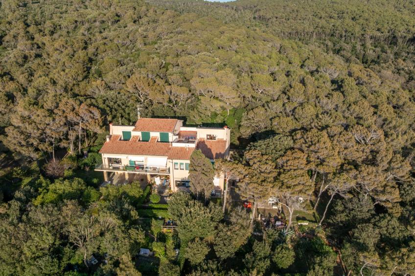 La casetta immersa nel verde - foto 36