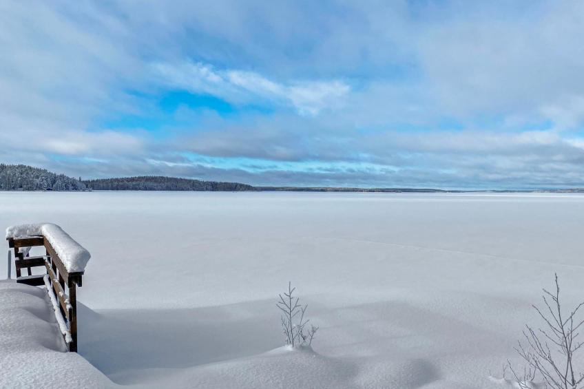 Näsinneito - foto 20