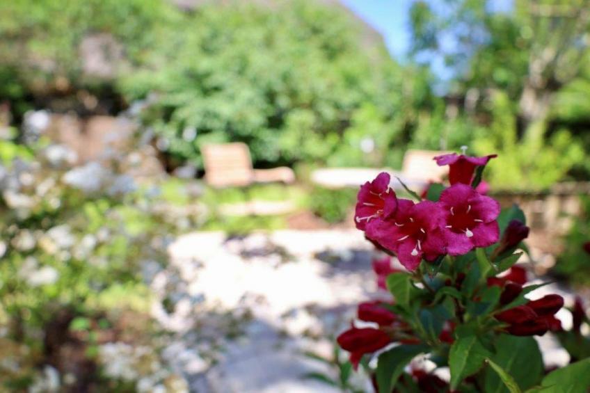 Kapteins Hüüs - ganzes Haus - foto 14