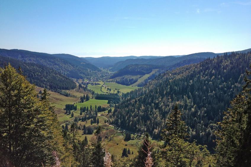 Schwarzwaldhaus St. Blasien, direkt am Bach - foto 47