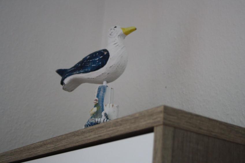 Mühlenblick - foto 10