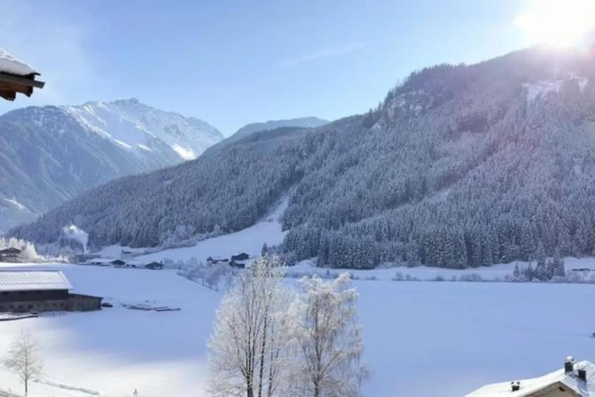 Chalets im Wald - foto 35