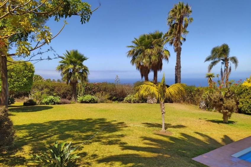 in El Sauzal mit Großem Pool und Meerblick - foto 9