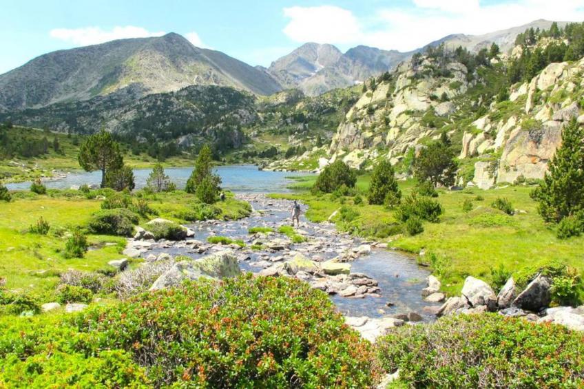 L'Espinet 5 - foto 29