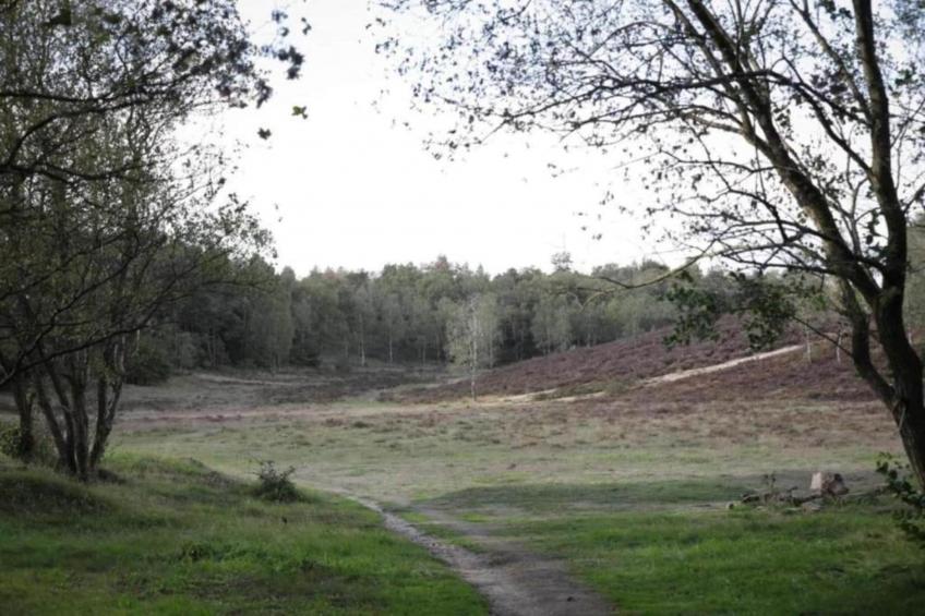 Heivlinder Comfort 4+2p - foto 37