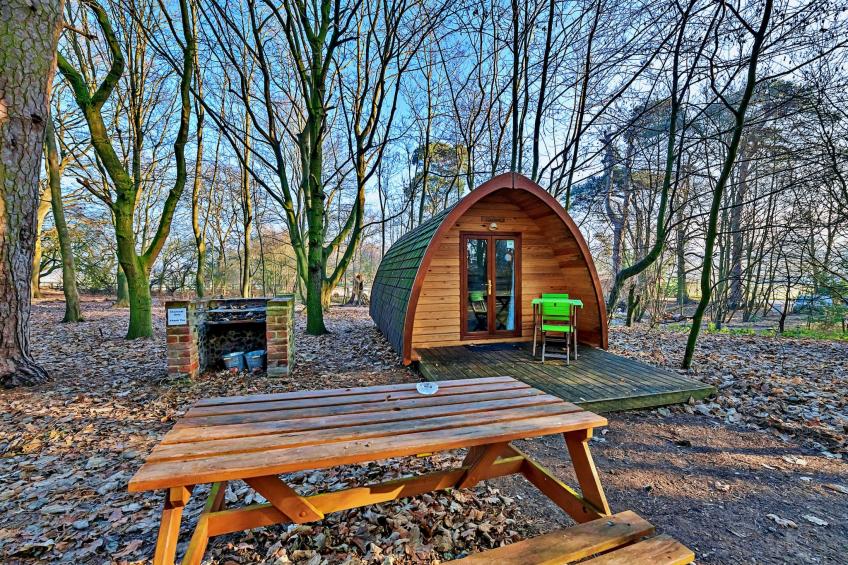 Boudicca Pod - foto 4