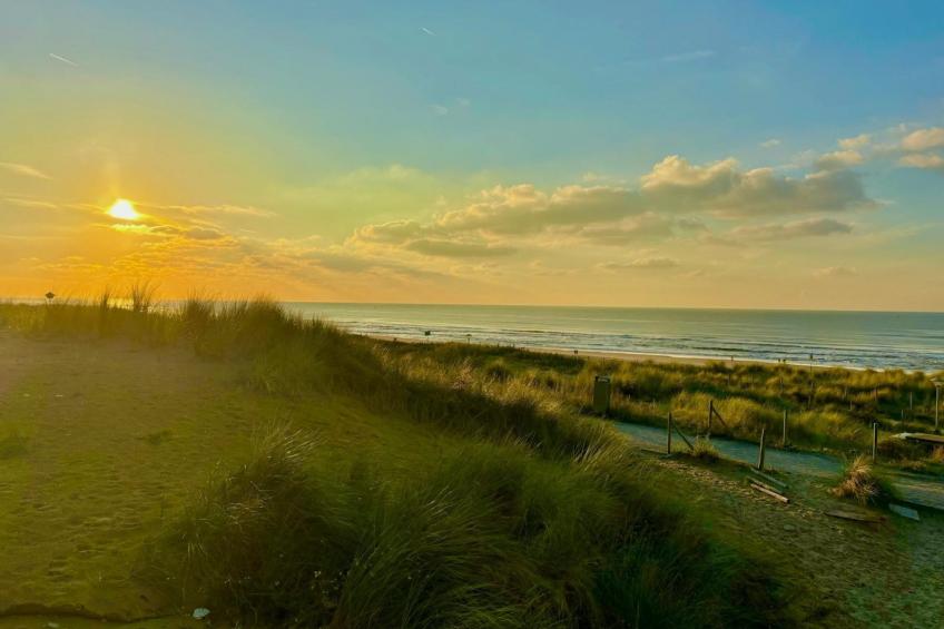 Hart van Zeeland - foto 25