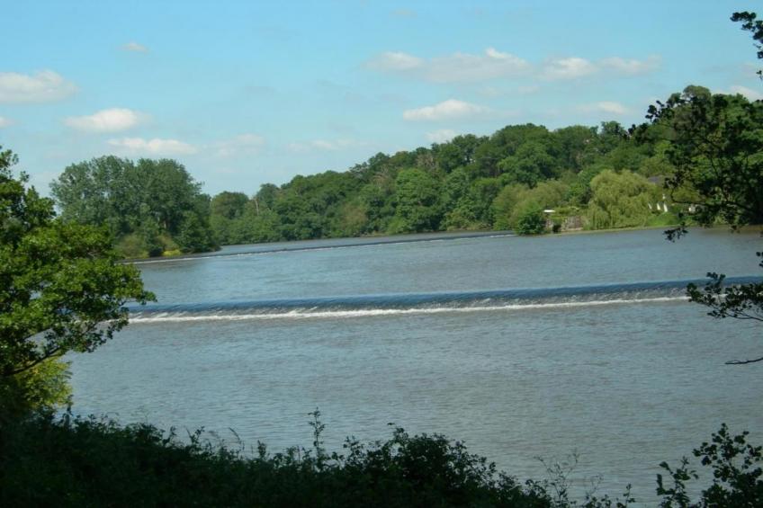 La Juquaise - foto 26