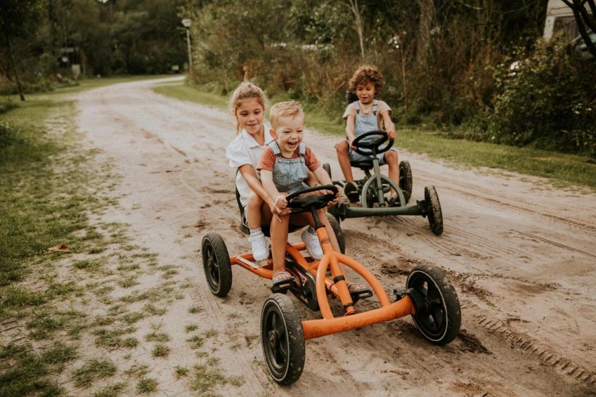 Reestdal lodge | 6 persoons - foto 21