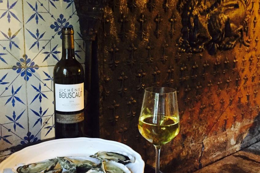 Schloss mit Überlaufpool an der Dordogne - foto 19