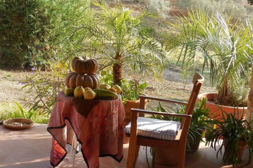 Behagliches Ferienhaus mit Garten inmitten eines - foto 12