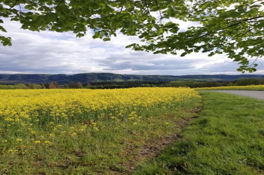 Sächsische Schweiz - foto 37