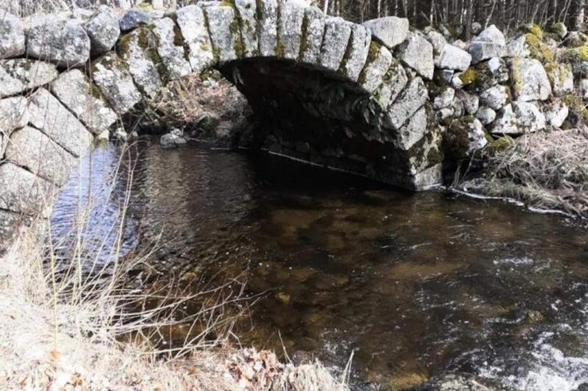 Gîte de France Gîte des amandines 3 épis - foto 40