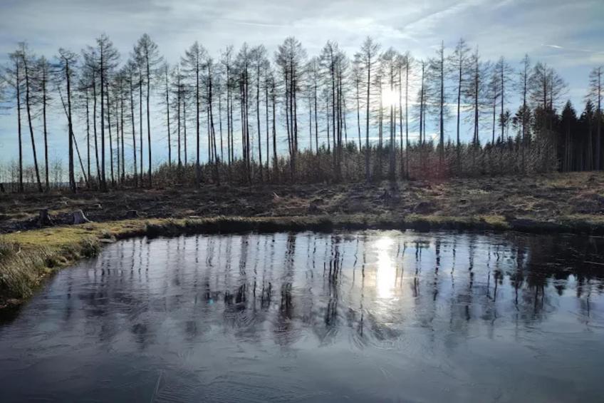 FH PremiumLodge Plus-4Erw und 2 Ki 4-11 - foto 32