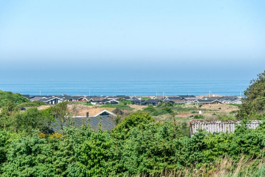 "Swarthofthi" - 1.5km from the sea in NW Jutland - foto 11