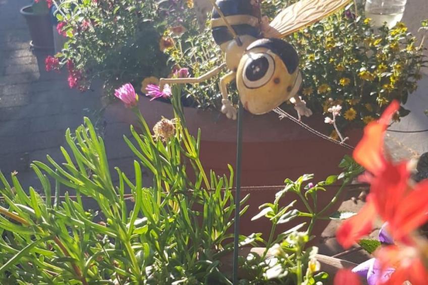 Am Marsfeld - foto 21