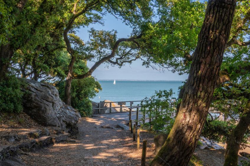 Res. Le Domaine des Pins (IDN202) - foto 22