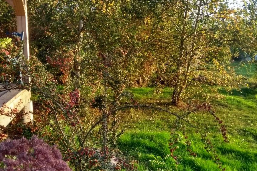 Urlaub Zirkuswagen - foto 10