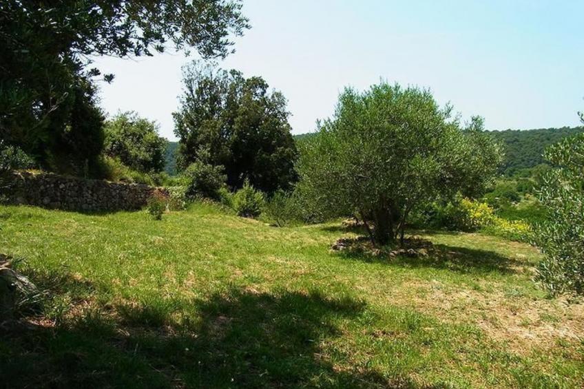 Villa Prislin - foto 13