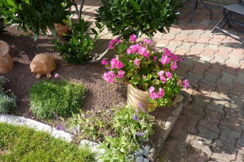 Appartement mit Terrasse - foto 20