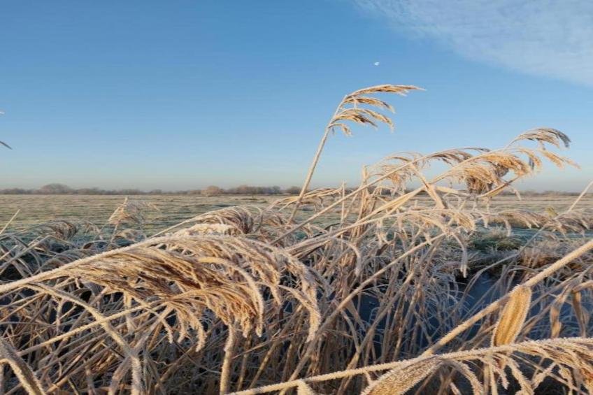 Chalet Famke - foto 33