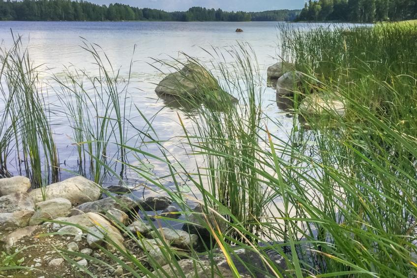 Annelinniemi - foto 21
