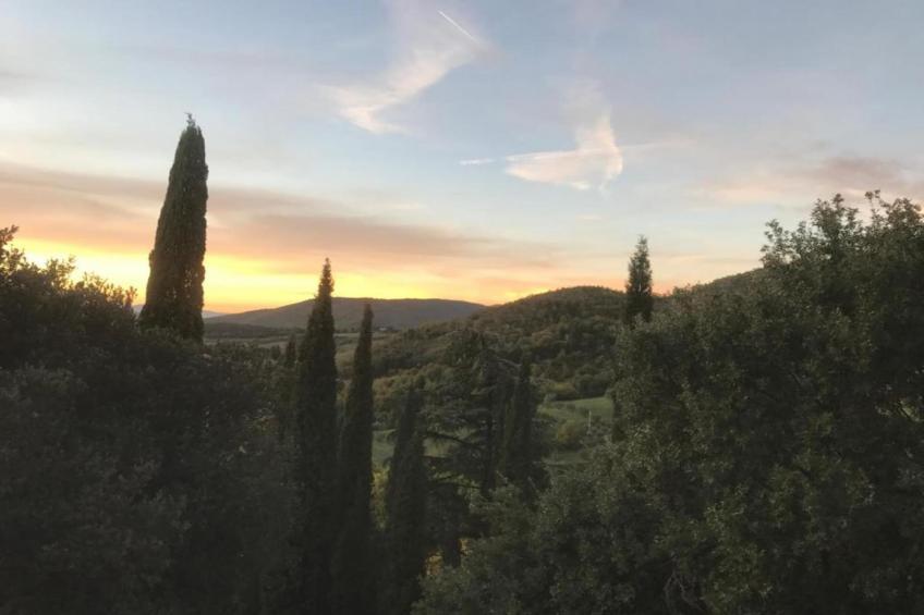Villa Melograno - foto 28